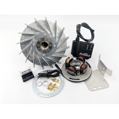 Elektronische Zündung Pinasco 1,8 kg für Vespa 125 VM&#x2F;​VN&#x2F;​ACMA&#x2F;​150 VB1&#x2F;​VGL1&#x2F;​VL 