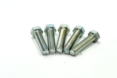 Sechskantschrauben-Set M7x L 30 mm Schlüsselweite 11 mm, verzinkt 