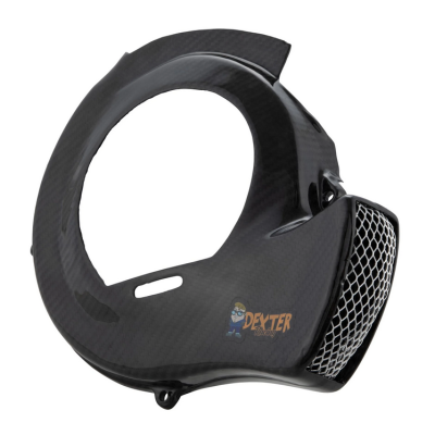 Copriventola DEXTER BIG AIR in carbonio per Vespa 50 N&#x2F;L&#x2F;R-Special-125 Primavera ET3 